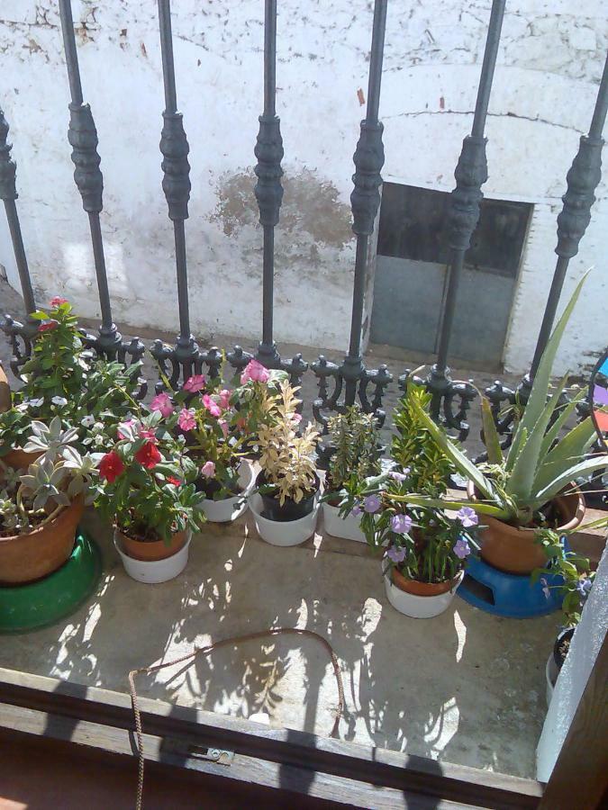 Apartamento Casa Tita Aguafría Buitenkant foto